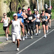 community hamilton half marathon
